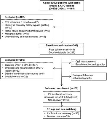 Circulating Chromogranin B Is Associated With Left Ventricular Functional Recovery After Successful Recanalization of Chronic Total Occlusion